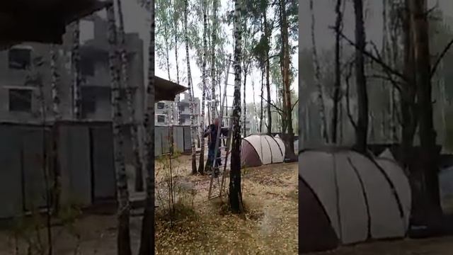 38 день Березовые истории у нас есть телевизор Будем знать все новости смотреть онлайн