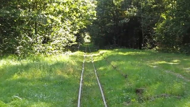 Canon PowerShot SX130 IS Forest Test Footage смотреть онлайн