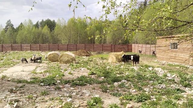 Благодать Божья! смотреть онлайн