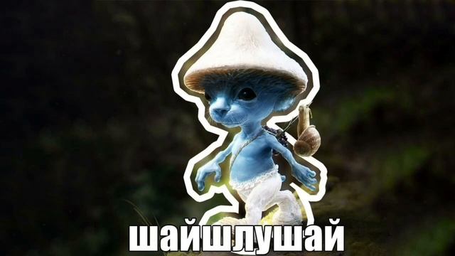 Полная Песня Шайлушай смотреть онлайн