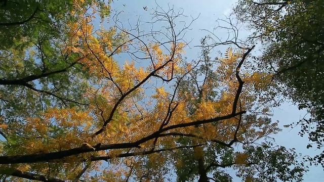 Что такое грязный реализм в литературе l Авторы, которых стоит почитать смотреть онлайн