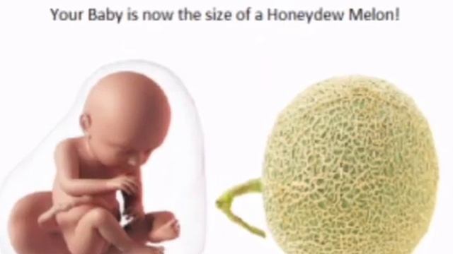 34 Haftalik Homila. Homiladorlikning 34-haftasi.