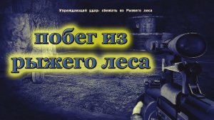 сталкер Возвращение в зону ВОСПОМИНАНИЕ. Упреждающий удар Сбежать из рыжего леса