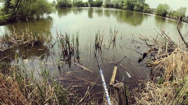 РЫБАЛКА ВЕСНОЙ 2020 КАРАСЬ ПРОСНУСЯ АКТИВНЫЙ КЛЕВ КАРАСЯ смотреть онлайн