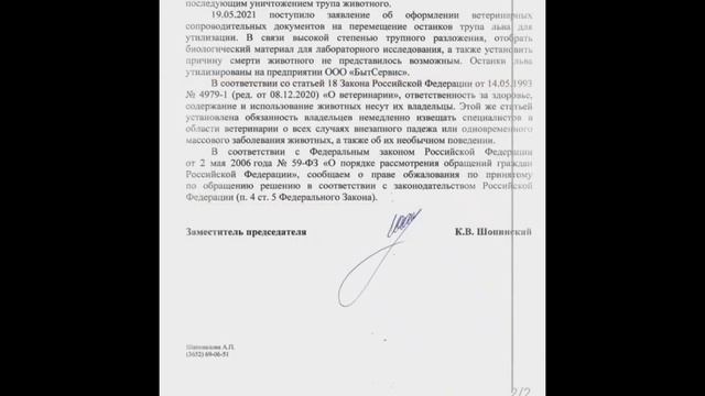 Где Мариупольские Животные? ТАЙГАН молчит... смотреть онлайн