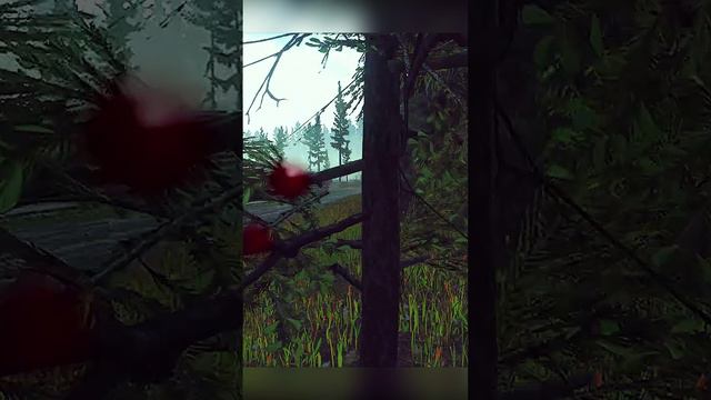 Пробежался.....по ....лесам Таркова - Escape From Tarkov смотреть онлайн