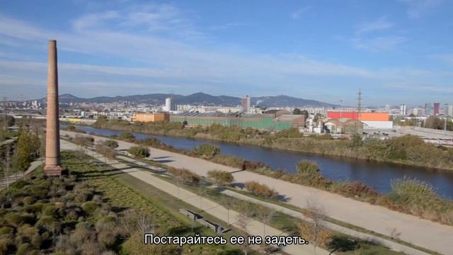 Стригут ли когти черепахам? смотреть онлайн