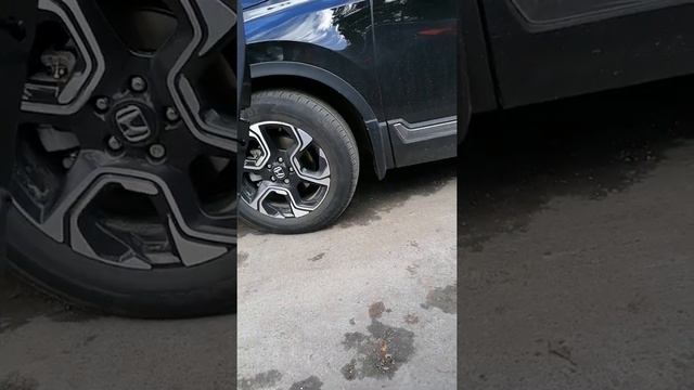 Чудо тряпка смотреть онлайн