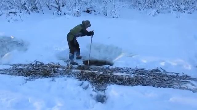 Сибирская рыбалка Siberian fishing смотреть онлайн