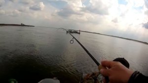 Ловля Чехони на Волге