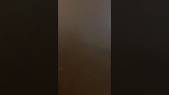 Как избавиться от клопов навсегда? Туман в комнате. смотреть онлайн