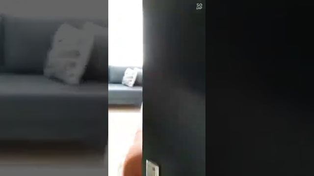 Турция Мерсин Мезитли ?? Продаётся 4-ком квартира в центре города.Цена 460.000 лир с мебелью смотреть онлайн