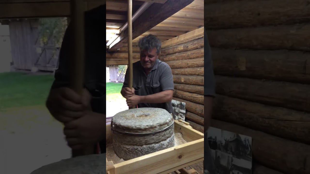 тренировка шкотового смотреть онлайн