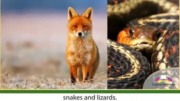 Excel 6 module 3 Unforgettable Destination