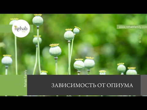 Опиум | Действие на организм | Симптомы | Последствия | Диагностика | Лечение