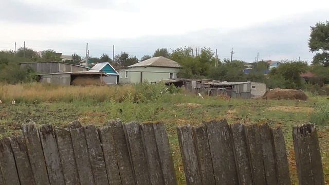 Баба нарвала травы гусям и утям смотреть онлайн