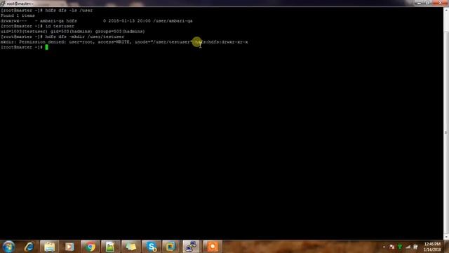 HDPCA - Create a home directory for a user and configure permissions смотреть онлайн