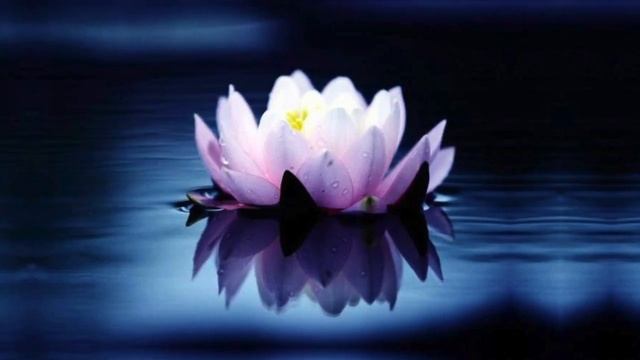 Padmasambhava Mantra / Rinpoche Mantra смотреть онлайн