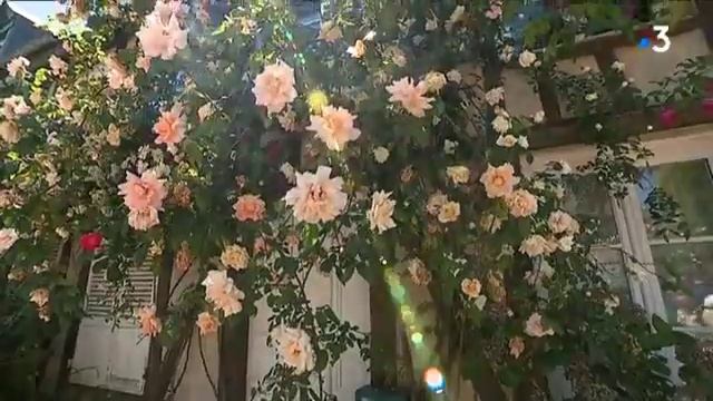 La fête des roses à Gerberoy смотреть онлайн