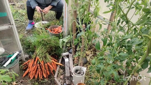 БЛОГИ ДЕРЕВЕНСКОЙ ЖИЗНИ.Я ОЧЕНЬ ЗЛАЯ смотреть онлайн