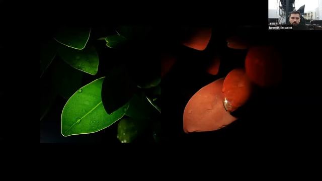 Максимов Е.Г. Дизайн гибридных фотоуправляемых систем. смотреть онлайн