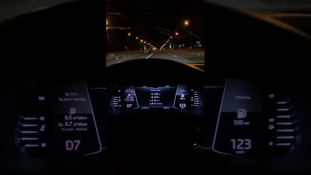 Skoda Rapid 1.4 tsi 125 hp: виртуальная приборная панель смотреть онлайн