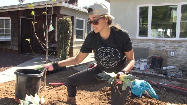 The Best Small Agave for Your Yard | Sara Bendrick смотреть онлайн