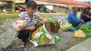 Single mother and her son harvest four-season vegetable gardens - go to the highland market to sell