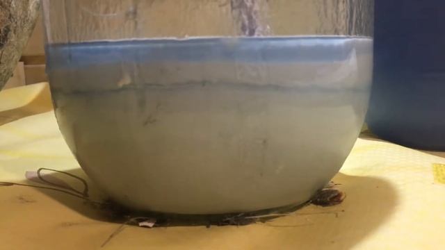 Стеклопластик ошибки Крокодилы Fiberglass смотреть онлайн