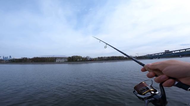 Crazy Fish Arion ASR762MT