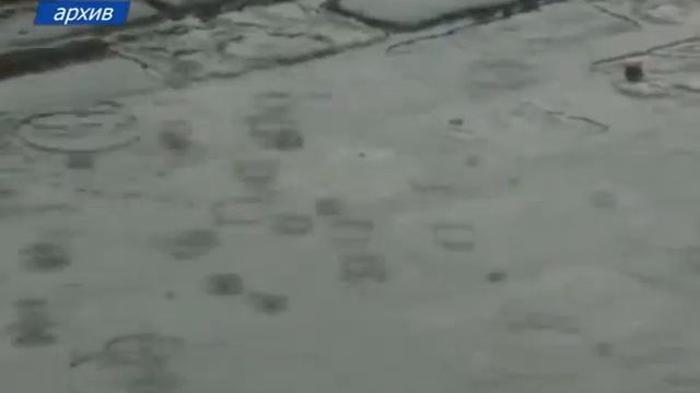 В Гидрометцентре Москвы объяснили причины теплой зимы смотреть онлайн