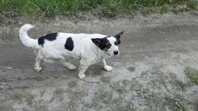 Закаливание организма в холодной воде.На улице + 17 смотреть онлайн