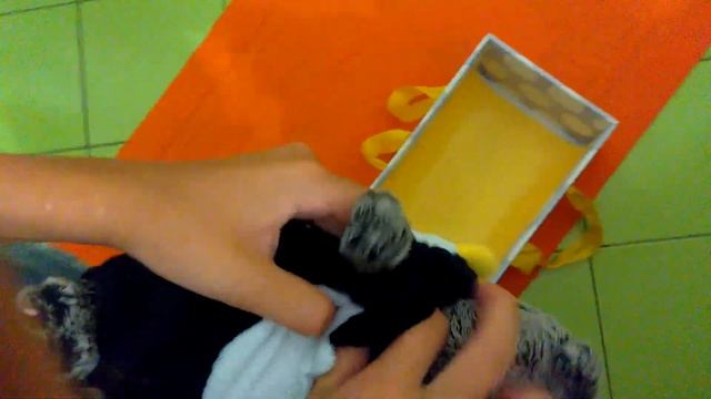 Обновление Бейби Басик 😻 смотреть онлайн