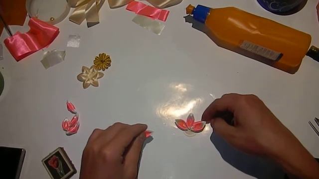 Цветок "Розовая мечта" смотреть онлайн