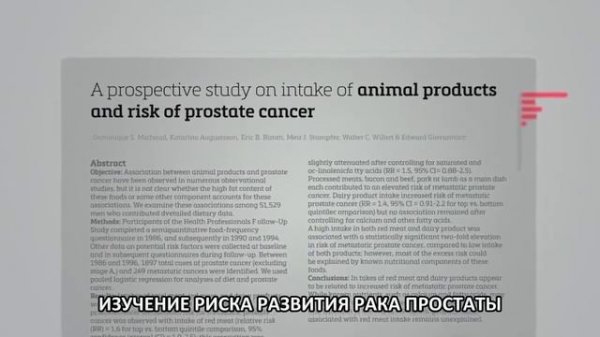 The Game Changers 2019