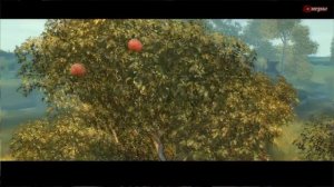 Обзор Drakensang: The Dark Eye