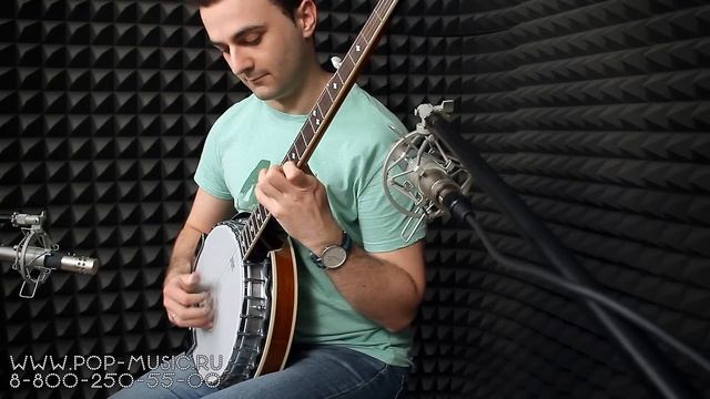 Банджо STAGG BJM30 DL смотреть онлайн