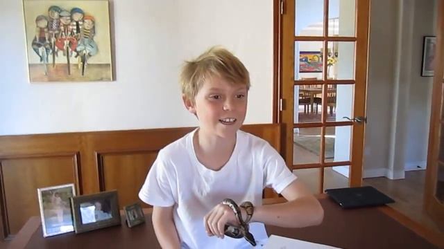 Ball python - Frozen vs. Live Mice смотреть онлайн