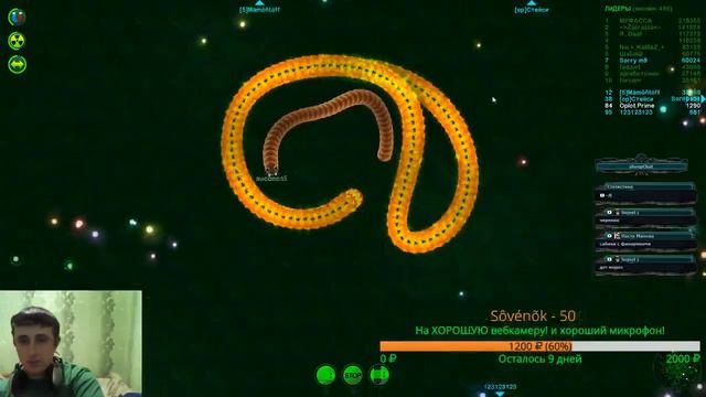 Stream Wormax.ioИгры с подписчиками и гостями! смотреть онлайн
