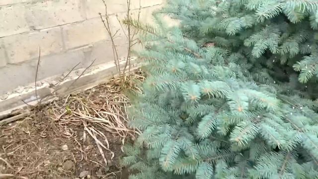 у ПАПЫ розовая эпопея / КОПИМ ОПЫТ через свои ШИШКИ смотреть онлайн