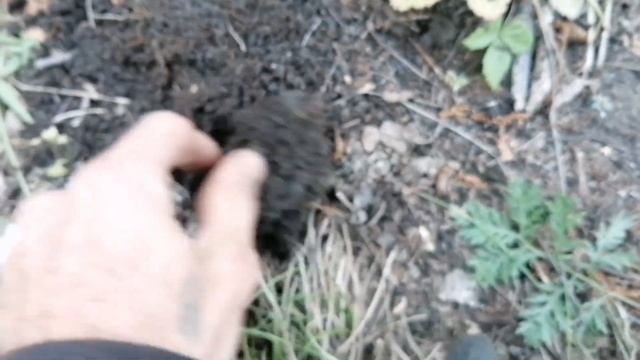 Летние выезды по выбитым местам! смотреть онлайн