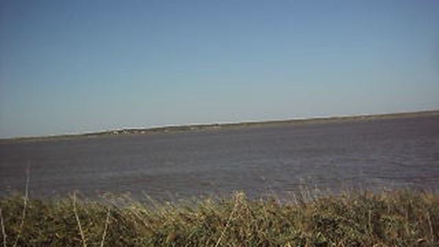 природа  . речка и камыши . небо