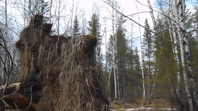 ЗА МЕТАЛЛОМ НА ВЕЗДЕХОДЕ.КОП НА УЖД ПРОДОЛЖАЕТСЯ смотреть онлайн