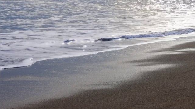 Внутрішня виконавча служба ТОВ 