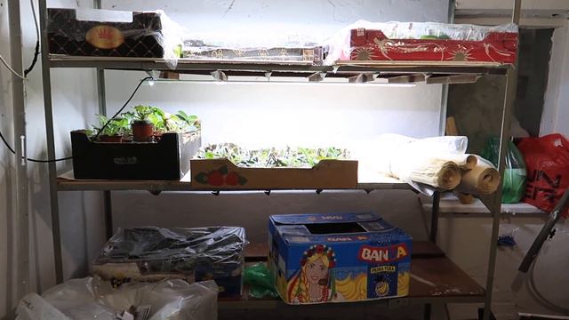 Погреб в ФИАЛОЧНУЮ!!! Начало работ все с чего начиналось) смотреть онлайн