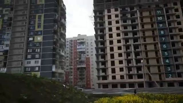 от цветущего поля остался островок цветов смотреть онлайн