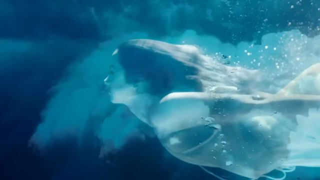 Lady, Lady, Lady - Joe Esposito (Ana De Armas)