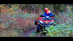 Прицеп приспособление для перевозки бревен на квадроцикле бизнес идея