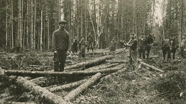 A Logger's Life Before Confederation смотреть онлайн