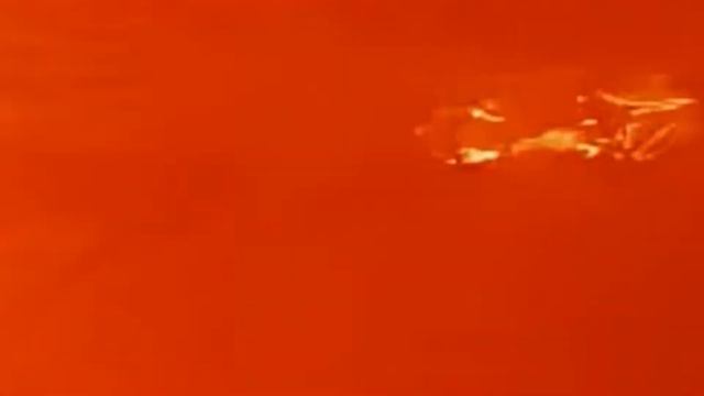 День триффидов (книжная рецензия) смотреть онлайн